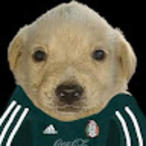 Meet your Posher, Misaelシ